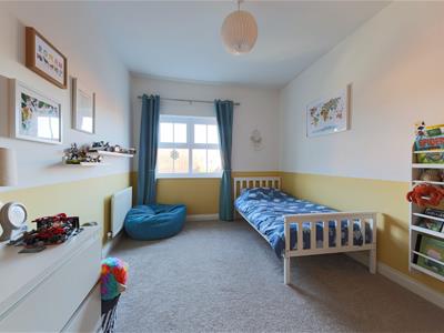 Picture 25